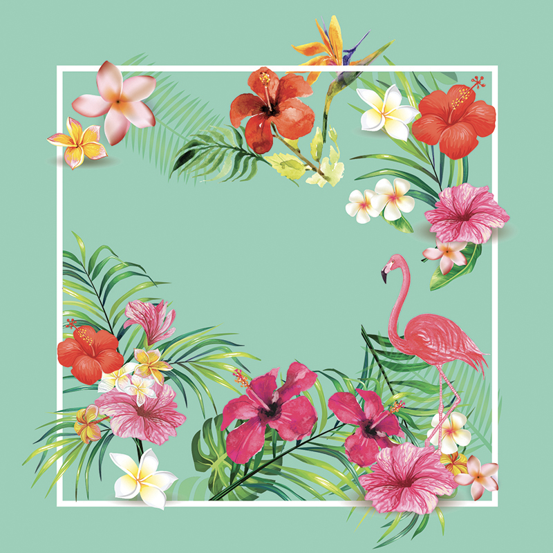 Carte Caméléon D-14 | Flamant Rose et flore tropicale luxuriante