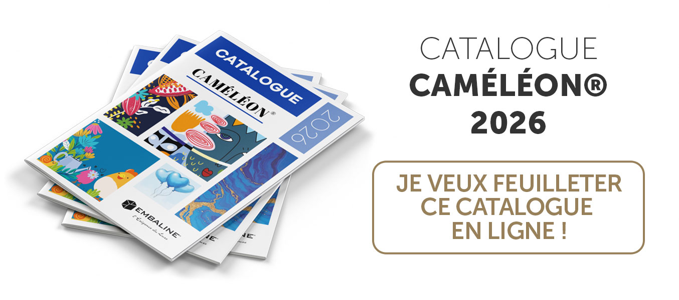 Une large gamme de cartes amovibles proposées dans différentes thématiques sont déjà créées dans un catalogue standard afin de répondre au plus vite et dans des petites quantités à chacun de vos besoins.
